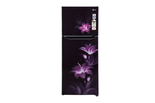 260 Litres Frost Free Refrigerator With Smart Inverter Compressor, Multi Air Flow, LED Lighting, MOIST ‘N’ FRESH